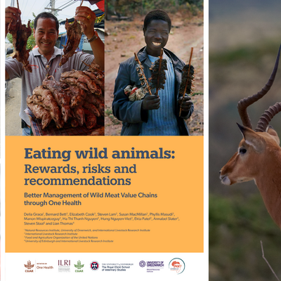 From forests to forks: Addressing wild meat trade and health risks ...